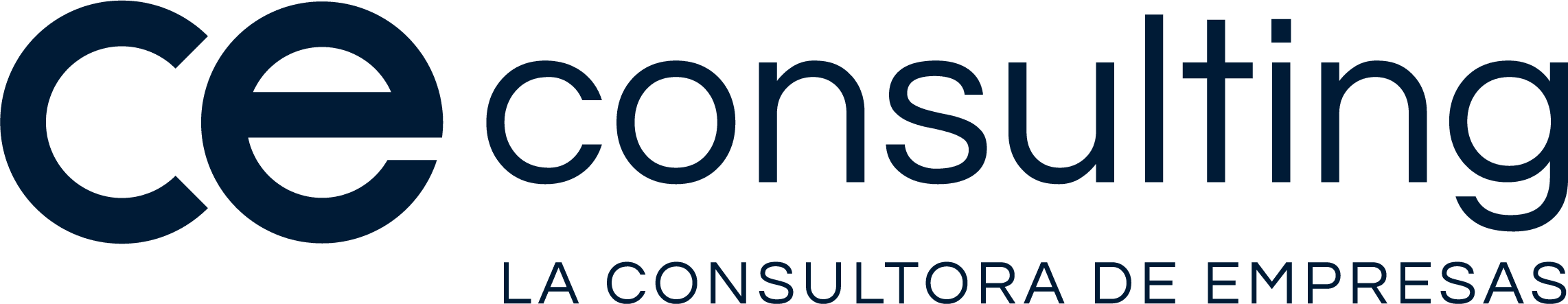 CE Consulting