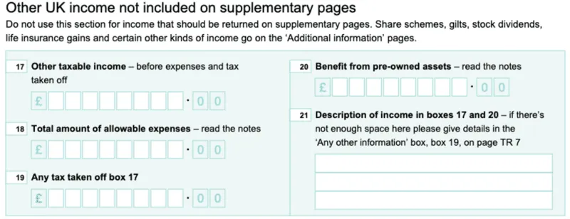 SA100 Other UK income section